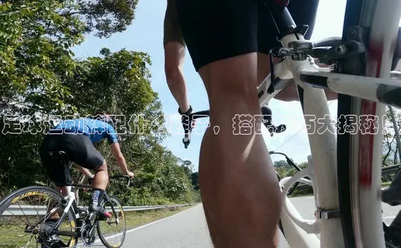 杏鑫彩票app官方下载百度网盘企业版