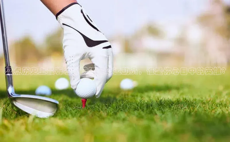 杏鑫平台代理小米