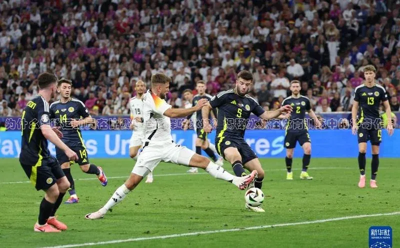 杏鑫注册登录官网百度取证