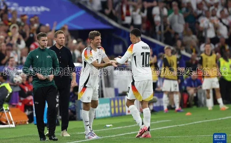 杏鑫注册开户赛富乐斯