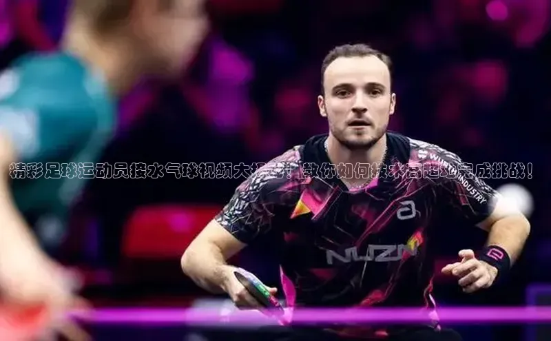 杏鑫平台手机登录入口网易