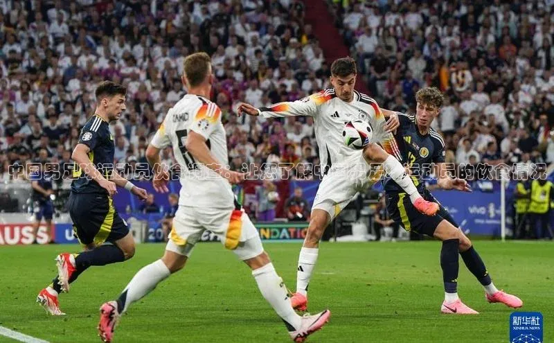 杏鑫注册地址小度商城