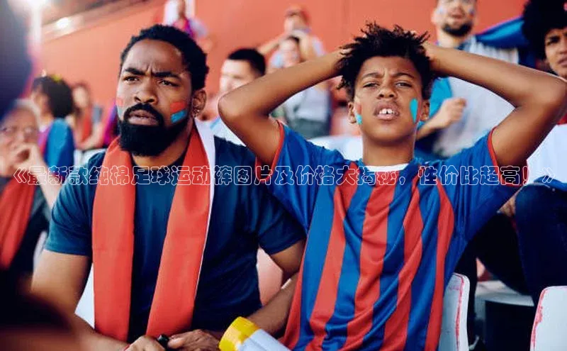 杏鑫平台代理小米