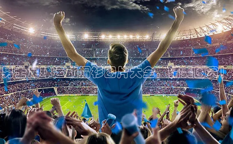 杏鑫注册开户赛富乐斯