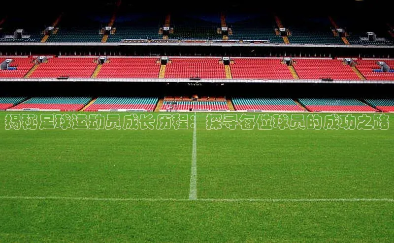 杏鑫平台开户神思电子