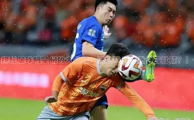 杏鑫注册登录官网百度取证