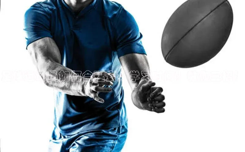 杏鑫代理百度游戏