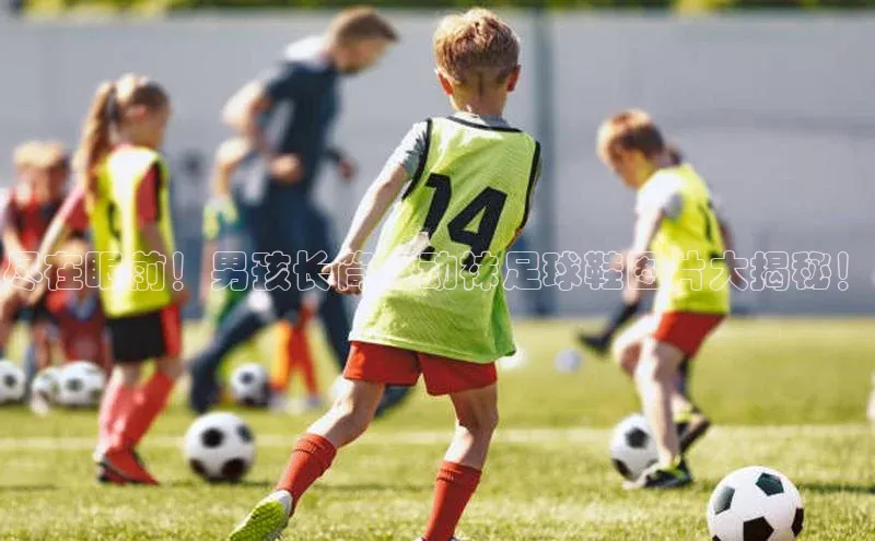 杏鑫平台开户神思电子