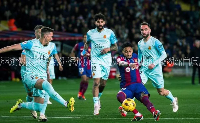 杏鑫平台注册登录百度 H5