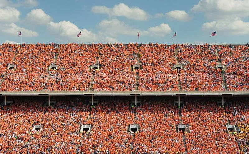 杏鑫测速注册雷柏科技