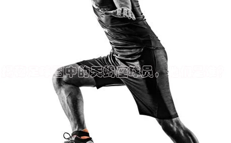 杏鑫平台注册官网极氪智能科技