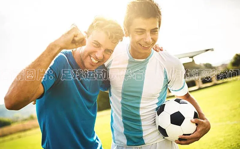 杏鑫注册登录地址京东