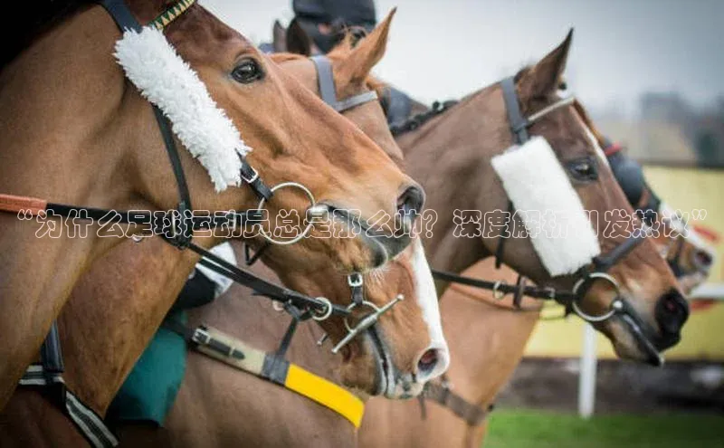 杏鑫登录测速阿里尔公司