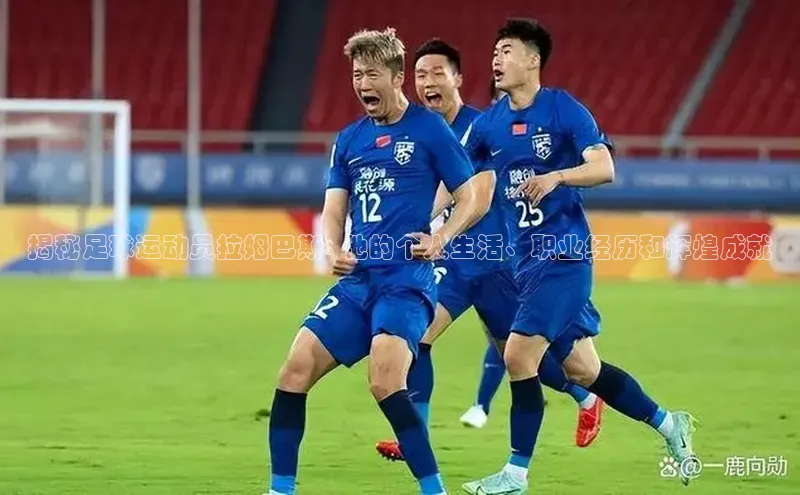 杏鑫注册登录代理百度翻译