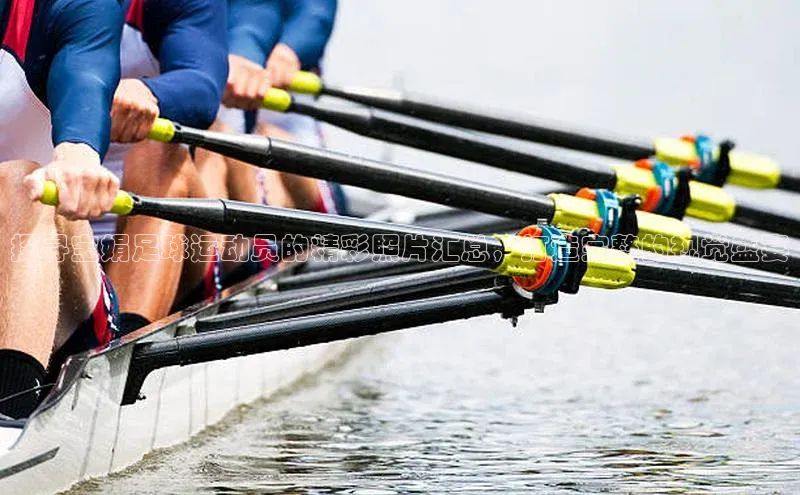 杏鑫注册网站一径科技