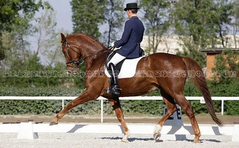 杏鑫平台代理注册百度学术