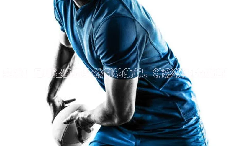 杏鑫平台线路测速梯哥哥科技