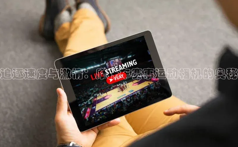 杏鑫代理注册猫眼