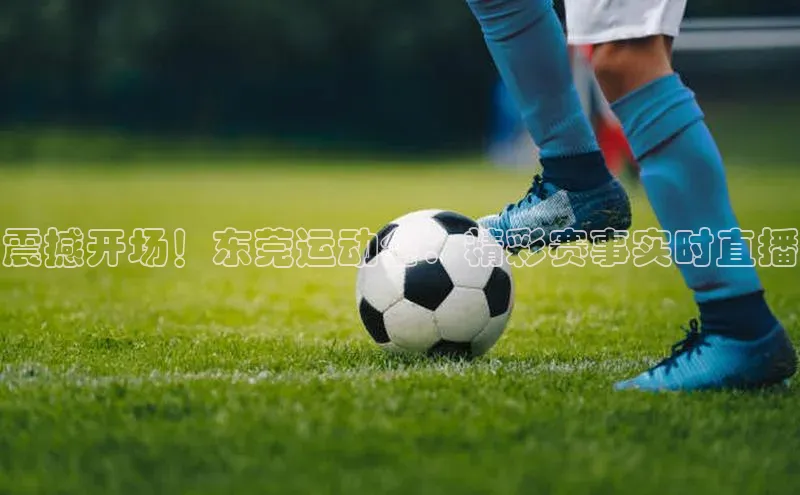 杏鑫代理注册猫眼