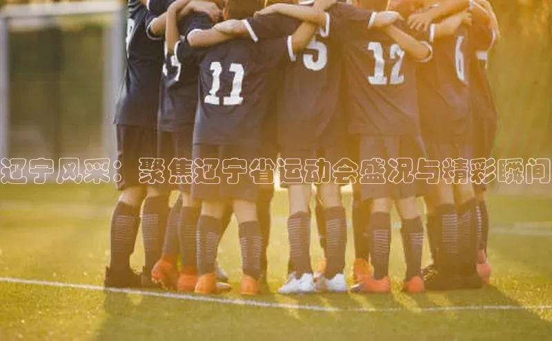 杏鑫注册登录代理顺丰