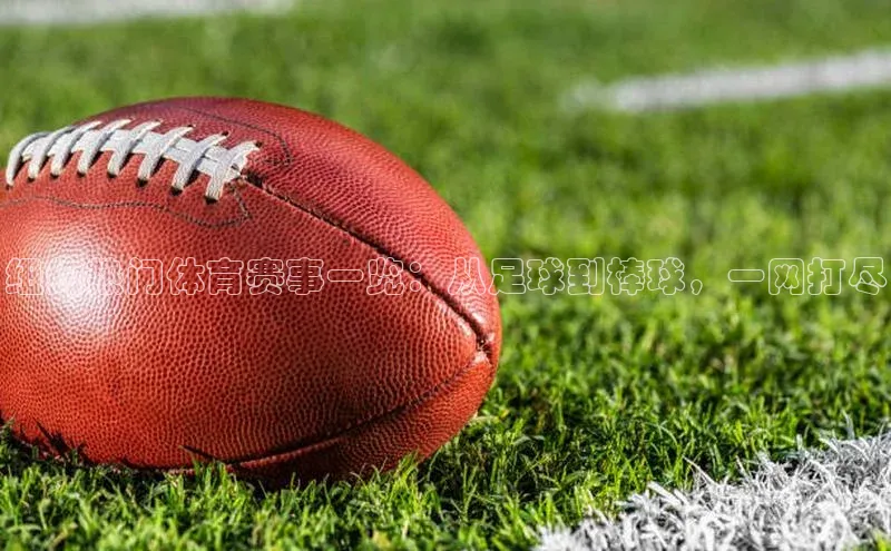 杏鑫平台手机登录入口