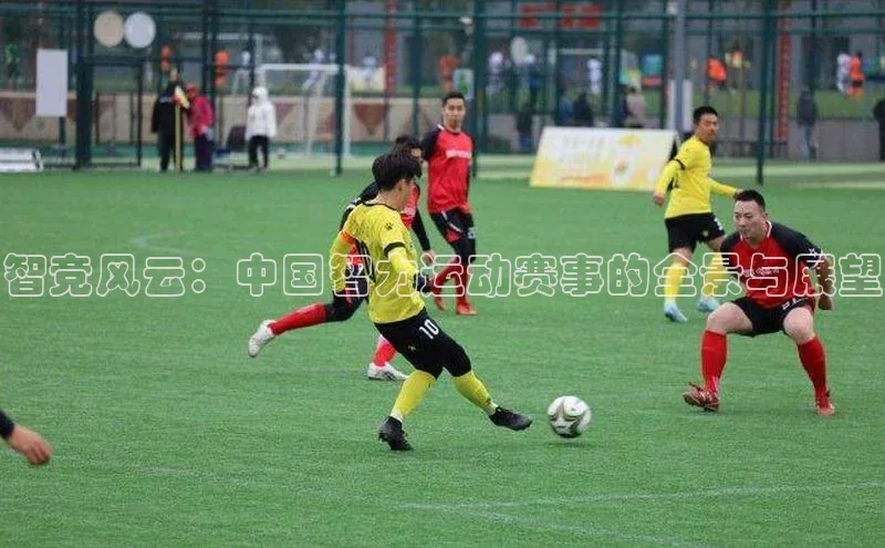 杏鑫平台注册登录