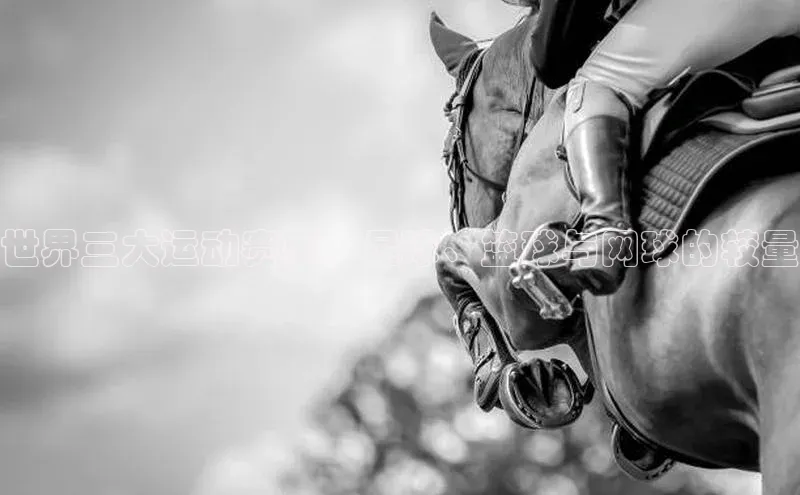 杏鑫平台注册登录