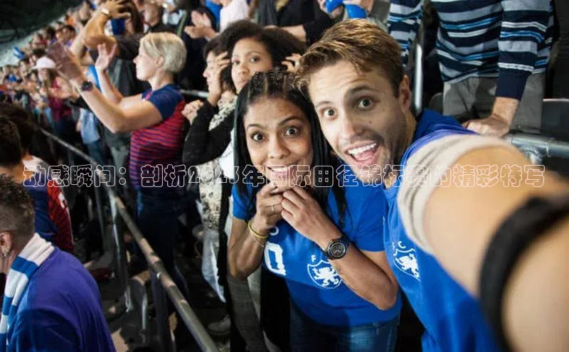 杏鑫平台登录地址