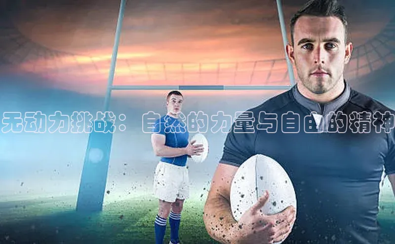 杏鑫平台登录地址