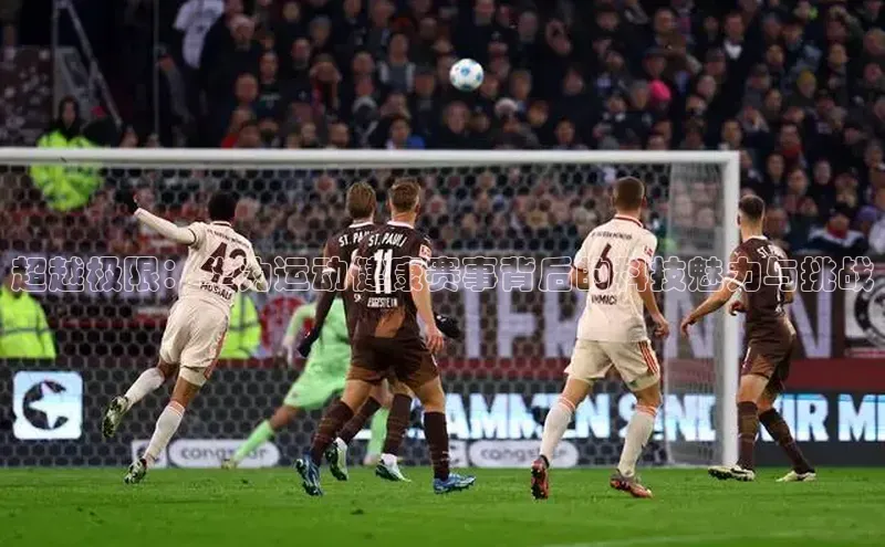 杏鑫平台代理注册