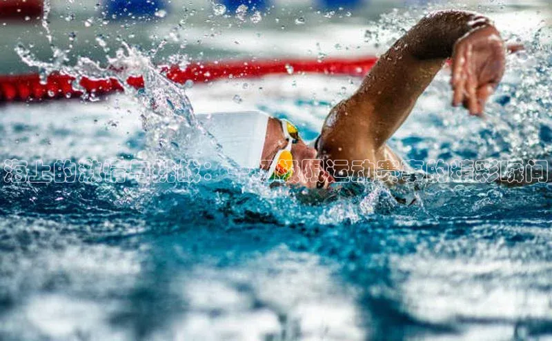 杏鑫平台注册登录