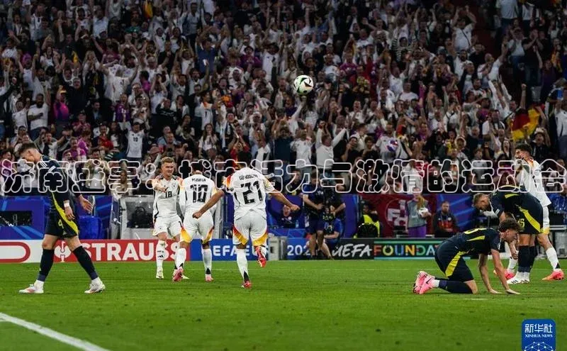 杏鑫平台手机登录入口