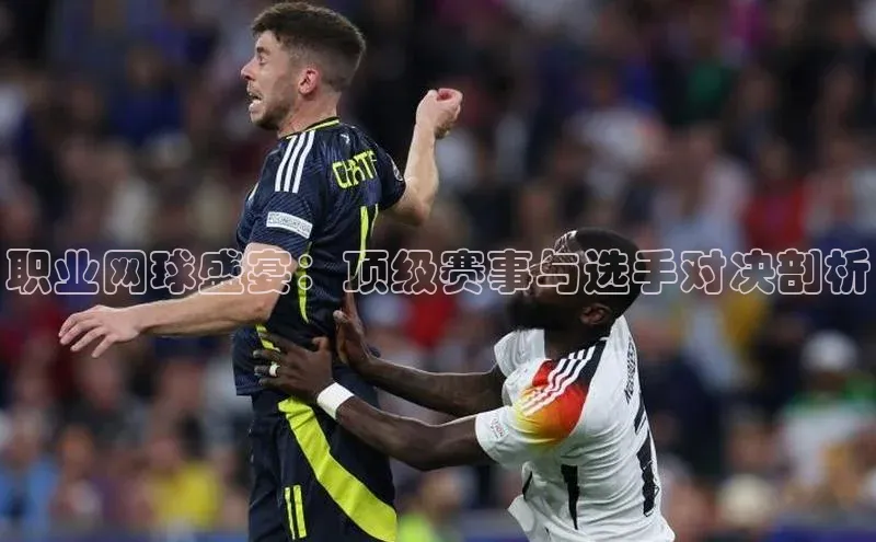 杏鑫平台注册入口