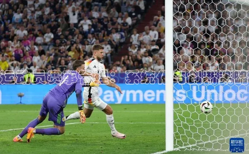 杏鑫平台手机登录入口