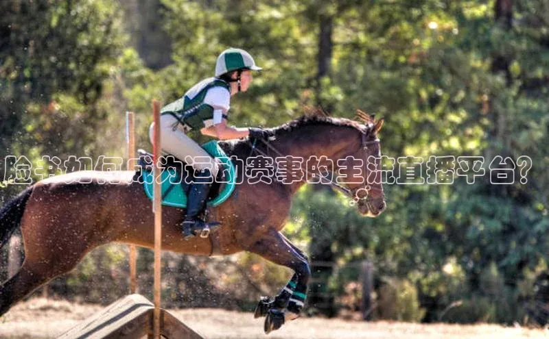 杏鑫测速官网登录入口